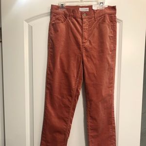 Loft velvet pants NWT